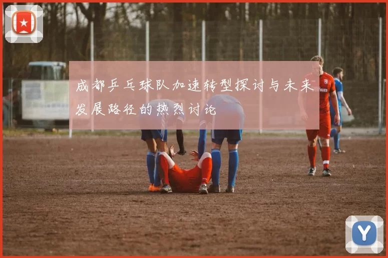 成都乒乓球队加速转型探讨与未来发展路径的热烈讨论