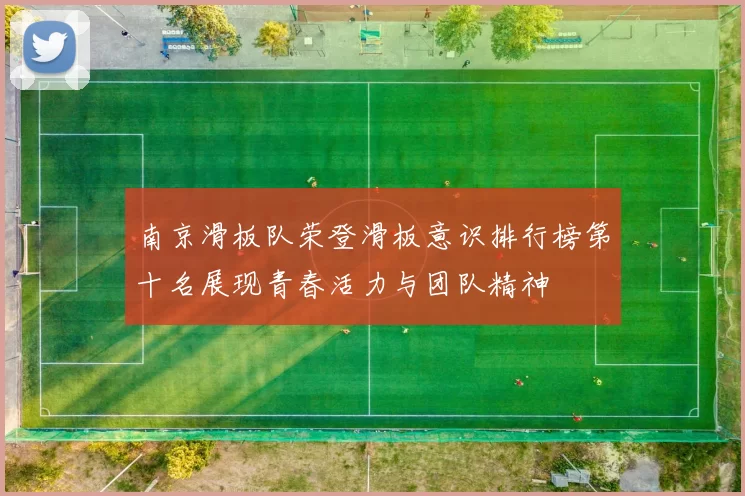南京滑板队荣登滑板意识排行榜第十名展现青春活力与团队精神