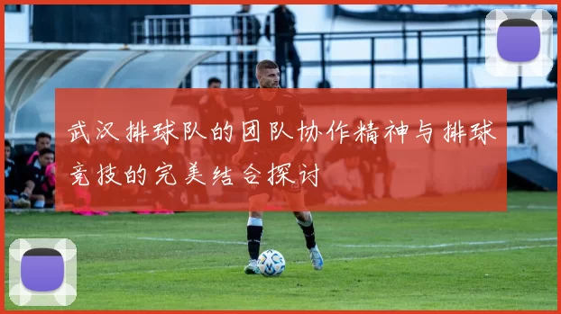 武汉排球队的团队协作精神与排球竞技的完美结合探讨