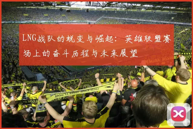 LNG战队的蜕变与崛起：英雄联盟赛场上的奋斗历程与未来展望