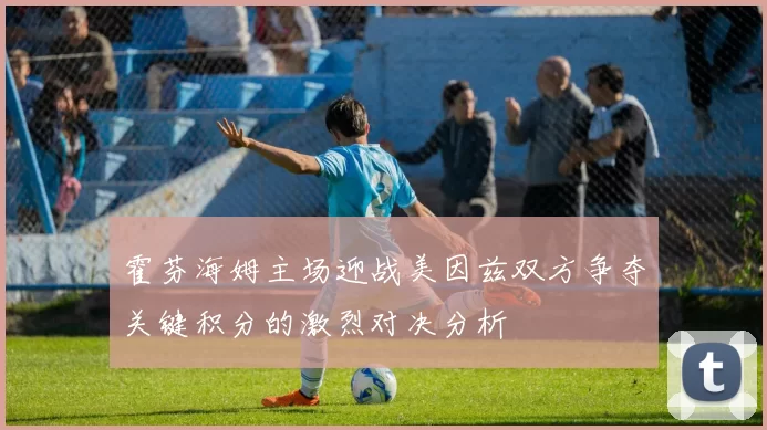 霍芬海姆主场迎战美因兹双方争夺关键积分的激烈对决分析