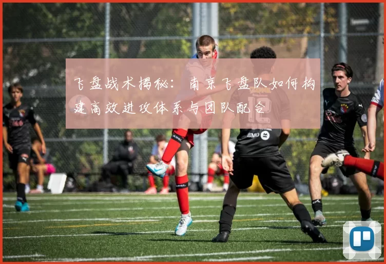 飞盘战术揭秘：南京飞盘队如何构建高效进攻体系与团队配合