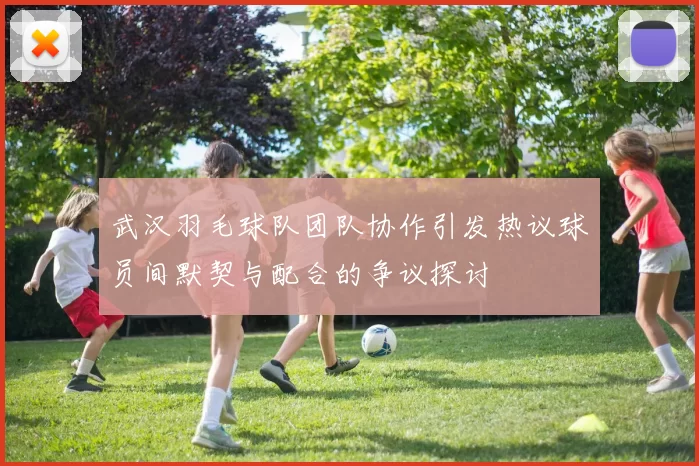 武汉羽毛球队团队协作引发热议球员间默契与配合的争议探讨
