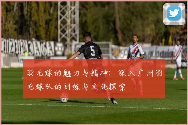 羽毛球的魅力与精神：深入广州羽毛球队的训练与文化探索