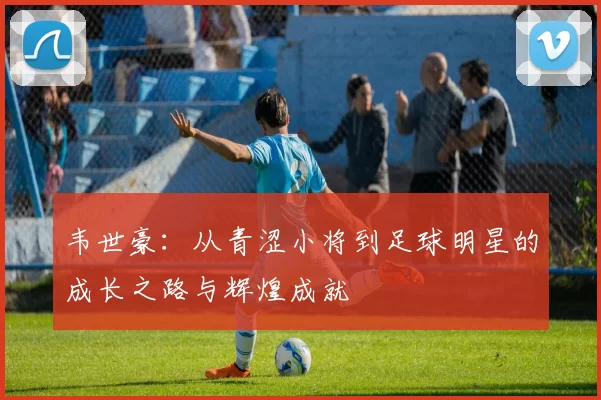 韦世豪：从青涩小将到足球明星的成长之路与辉煌成就
