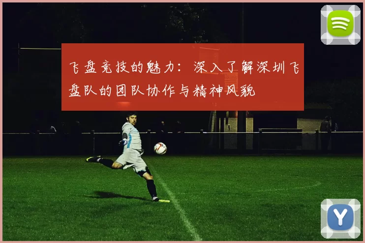 飞盘竞技的魅力：深入了解深圳飞盘队的团队协作与精神风貌