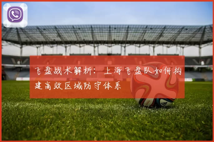 飞盘战术解析：上海飞盘队如何构建高效区域防守体系