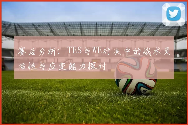 赛后分析：TES与WE对决中的战术灵活性与应变能力探讨