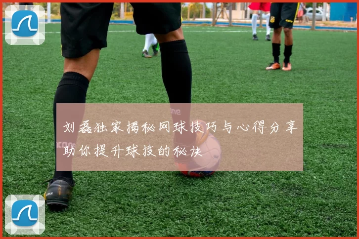 刘磊独家揭秘网球技巧与心得分享助你提升球技的秘诀