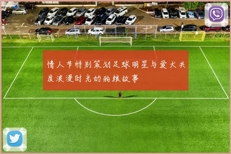 情人节特别策划足球明星与爱犬共度浪漫时光的狗粮故事