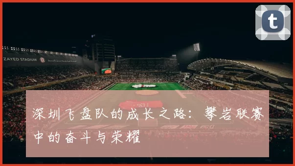 深圳飞盘队的成长之路：攀岩联赛中的奋斗与荣耀