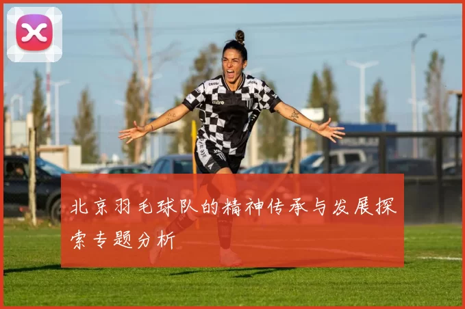 北京羽毛球队的精神传承与发展探索专题分析