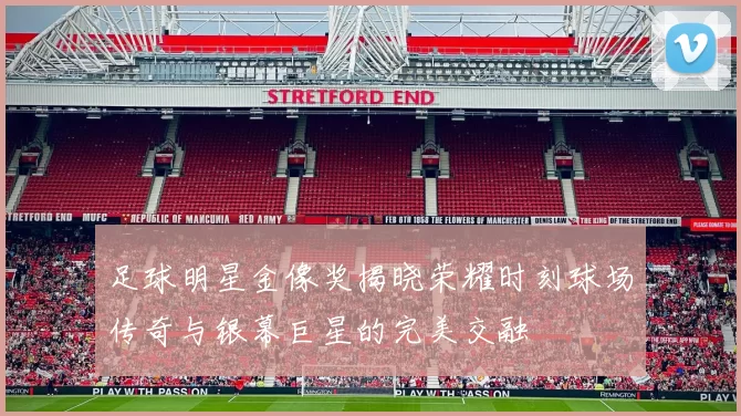 足球明星金像奖揭晓荣耀时刻球场传奇与银幕巨星的完美交融