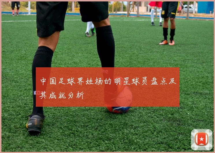 中国足球界姓杨的明星球员盘点及其成就分析