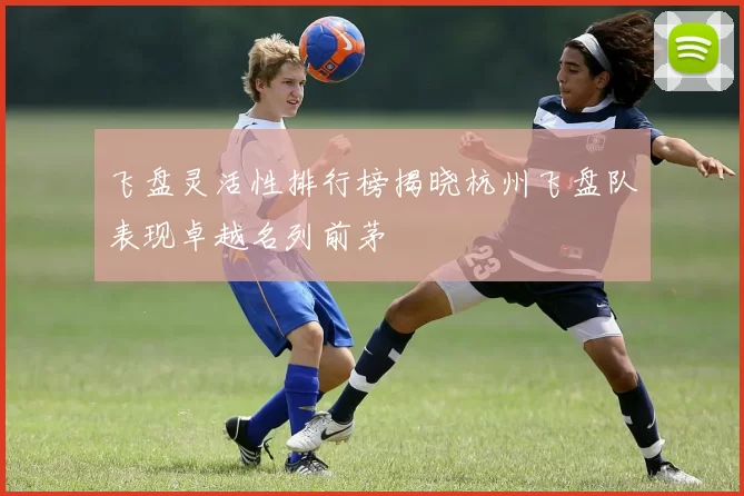 飞盘灵活性排行榜揭晓杭州飞盘队表现卓越名列前茅