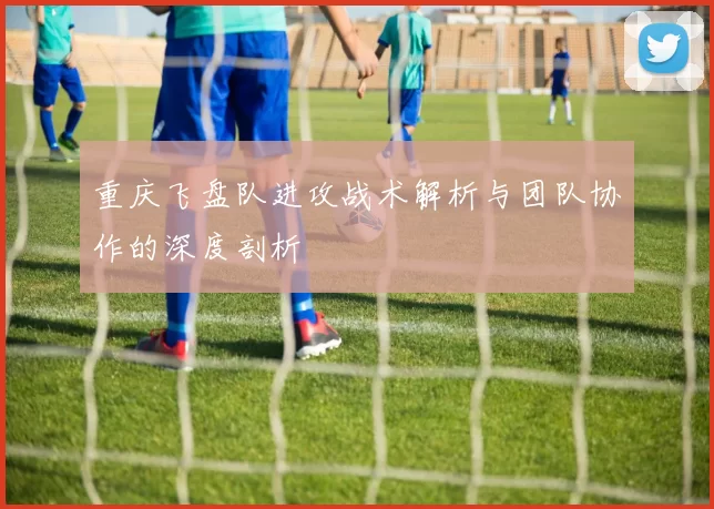 重庆飞盘队进攻战术解析与团队协作的深度剖析