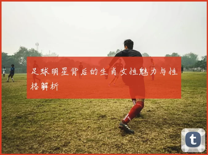 足球明星背后的生肖女性魅力与性格解析