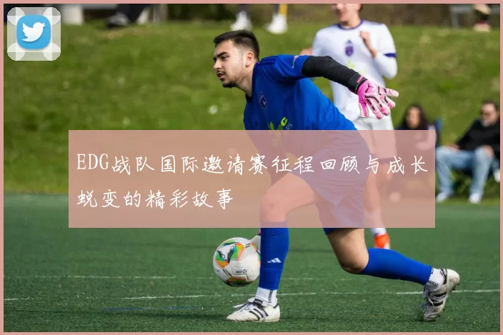 EDG战队国际邀请赛征程回顾与成长蜕变的精彩故事