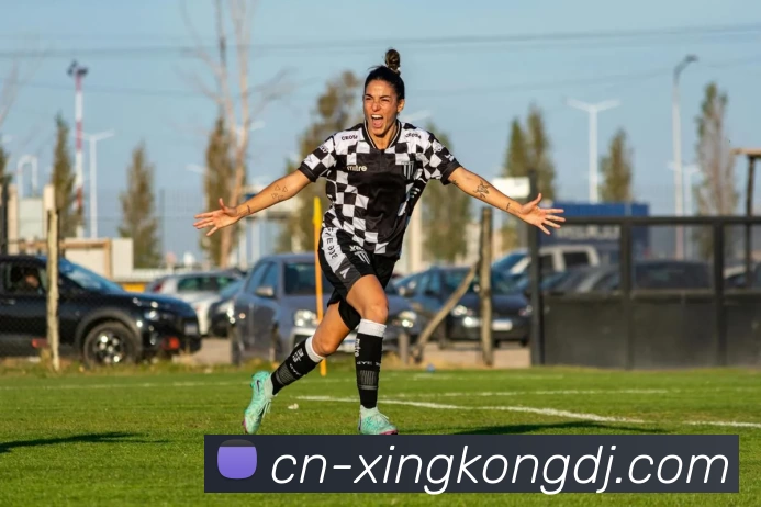 星空体育APP 封面图